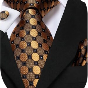 Dubulle Males’s Tie Set – Stable Paisley Silk Necktie with Cufflinks and Pocket Sq.